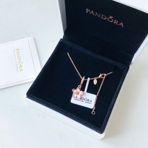 Meet your Posher, Winton